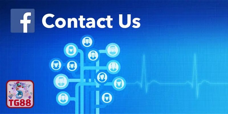 Liên Hệ TG88 - Hotline: Ưu tiên cho tình huống cần phản hồi nhanh Liên Hệ TG88 - Hotline: Ưu tiên cho tình huống cần phản hồi nhanh